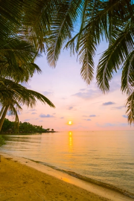 Goa