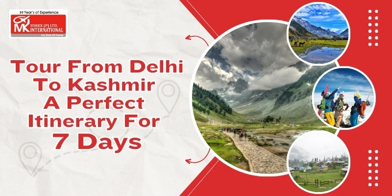 Tour From Delhi To Kashmir : A Perfect Itinerary For 7 Days